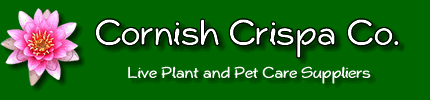 Click To Visit Our Ebay Shop